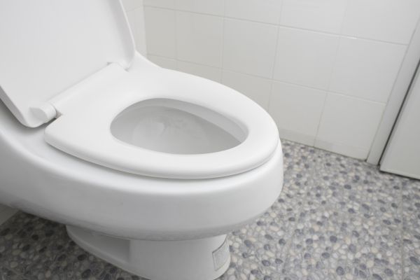 New Toilet Installation - New Toilet Installation Federal Way, Washington