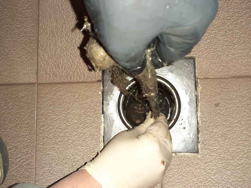 Basement Drain Clearing in Denver, CO
