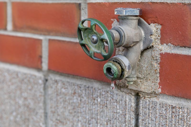 Kitchen Faucet Repair in Denver, CO